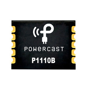 P1110B Image